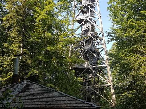 loorenkopfturm|Aussichtsturm Loorenkopf: Wanderungen und Rundwege